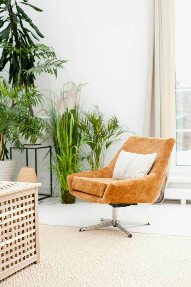 Cozy eco boho cozy brown chair interior design working from home interior design potted plants.jpg